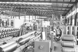 創(chuàng)新驅(qū)動(dòng)，綠色未來 探訪邯鄲工業(yè)園區(qū)飛翔新能源科技股份有限公司